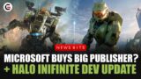 Xbox Buys Big Publisher + Halo Infinite Dev Update – News Bits | Gaming Instincts