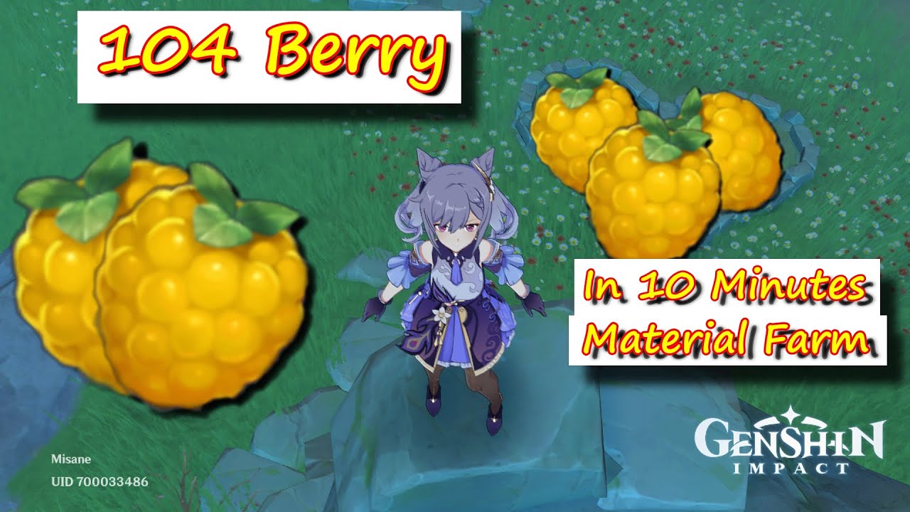 104 Berry in 10 Minutes Genshin Impact Material Farm Game videos