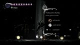 I beat Hollow Knight bosses on Radiant until Silksong comes out part 25 (No Hit Vengefly King)