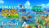 83 SMALL LAMP GRASS ROUTE GUIDE | GENSHIN IMPACT | CG GAMES