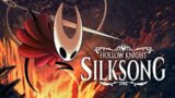 ALL SILKSONG NEWS WE'VE GOTTEN IN 2021!!! (February)