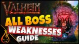 All Boss Damage Weaknesses Valheim Guide