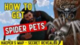 Baldur's Gate 3 – How to get Spider Pets (Haeper`s Map Secret Revealed)