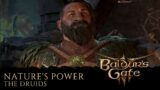 Baldur's Gate 3: Nature's Power – The Druids