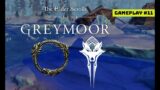 Elder Scrolls Online Greymoor ENDING su XBOX Series X gameplay #11 ITA – il finale in Western Skyrim