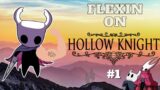 Flexin on Hallownest (Hollow Knight Gameplay)