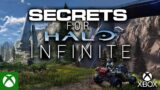 Halo Infinite Reveal with Secrets & Updates for Gameplay on Xbox for Xbox Series S | X & PC from 343