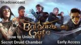How to Unlock Secret Druid Chamber Baldur's Gate 3