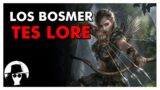 Los Bosmer – Razas – The Elder Scrolls Lore