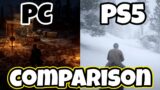 PC    PS5  Comparison | (60FPS) Red Dead Redemption 2