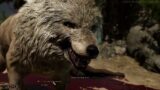 Patch 4 – Speaking to Gnolls/Hyenas as a Wolf (Druid) – Baldur's Gate 3 Early Access