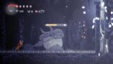 Playing Hollow Knight impossible any% 3