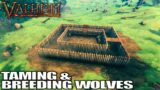 Taming & Breeding My Very Own WOLF PACK | Valheim Gameplay | E45