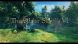 The Elder Scrolls VI Valhiem