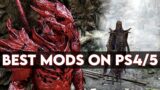 Top 10 great mods for Skyrim on PS4/PS5 #6