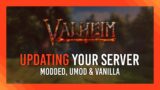 Updating a Valheim Server | uMod, BepInEx + Vanilla Dedicated Server Guide!