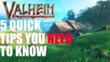 VALHEIM- 5 QUICK TIPS YOU NEED TO KNOW