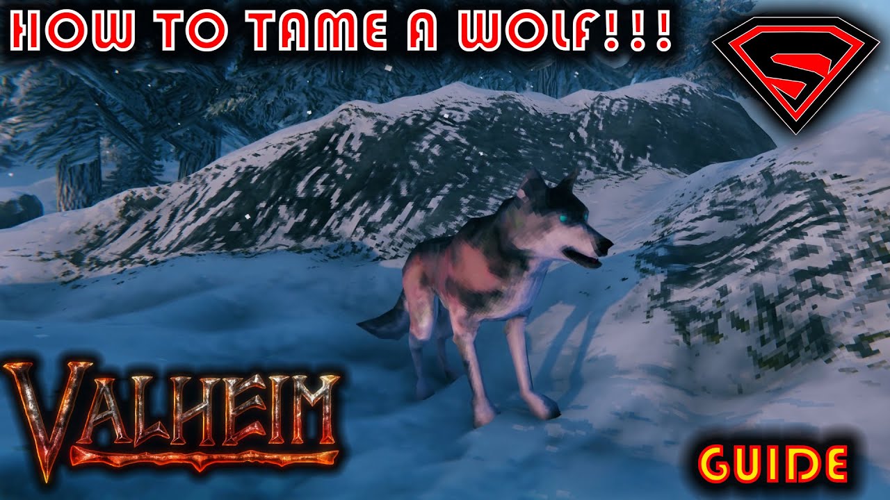 VALHEIM HOW TO TAME A WOLF!!! EASY WAY TO TAME WOLVES IN VALHEIM