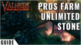 Valheim Gameplay Guide: Pro Spawn Farming