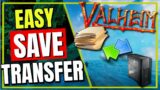 Valheim HOW To transfer world SAVE files between PC and Server @Vedui42