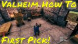 Valheim How to Make Your First Pick!
