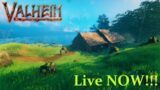Valheim Live! New Game! Lets Build a Viking Village!