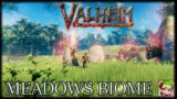 Valheim – Meadows Biome + Starting Tips