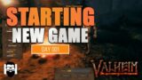 Valheim – SOLO – STARTING NEW GAME – NEW CHARACTER – NEW RANDOM SEED