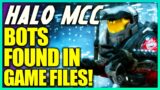 343 Responds to Halo MCC Bots Found in Game Files! Halo News