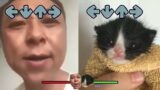 Angry Asian Man Yelling At Cat but its (Friday Night Funkin – Dad Battle) FNF Meme #Shorts