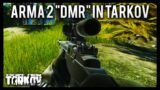 Arma 2 "DMR" in Escape from Tarkov