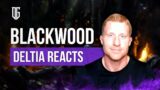 Blackwood Chapter Preview Reaction
