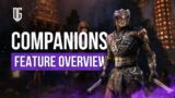 ESO Companions Preview and Opinions