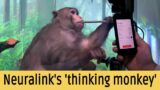 Elon Musk's Neuralink releases video of a monkey playing a videogame with the help of brain-chip