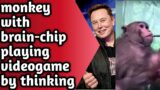 Elon Musk's neuroscience startup Neuralink shows monkey playing video games via brain chip