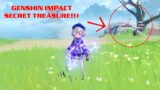 Genshin Impact Weirdest Secret Branch Chest with CLEAR INSTRUCTIONS