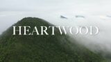 Heartwood: A Video Game Music Tribute to Rainforest Trust Charity Album [OUT NOW!]