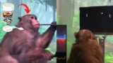 MAJOR Neuralink Update: Monkey Plays Videogame Explained [MindPong]