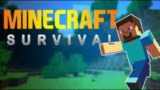 Minecraft with freinds !! ip in discription