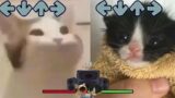 Pop Cat VS Cat that goes a (Friday Night Funkin – Blammed) FNF Meme