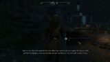 The Elder Scrolls V  Skyrim Enderal Forgotten Stories