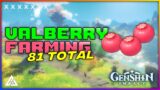 VALBERRY – 81 PCS. BEST ROUTE GUIDE | GENSHIN IMPACT | CG GAMES