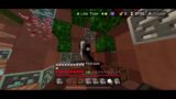 Video Game Time (Minecraft)