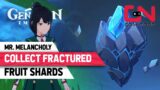 Collect Fractured Fruit Shards Genshin Impact – Mr. Melancholy Quest
