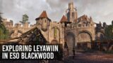 Exploring Leyawiin in The Elder Scrolls Online (Blackwood Preview)