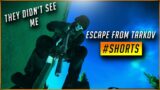 How did they not see me… | Escape From Tarkov | #Shorts