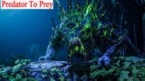 Outriders: Predator To Prey: Hunt Down Tyrannus: Forest Enclave Mission (No Commentary)