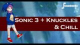 Sonic Knuckles & Chill –  Chill Video Game Music Remix – JP Soundworks