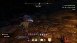 THE ESO CHRONICLE : Cadwell's Gold EPISODE V (Part 6)