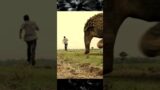 Temple Run Video Game in Real Life | Viral Visual Effects #Shorts